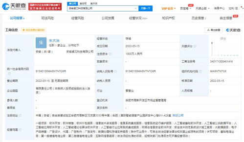 信息系统集成服务的全面解析